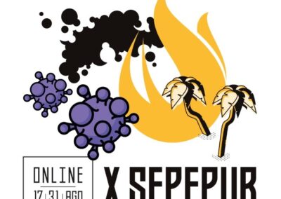 X SEPEPUR / IV ERCIPUR